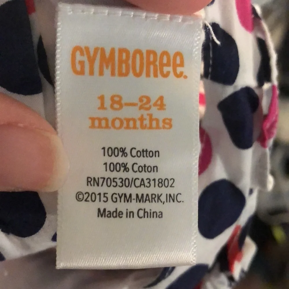 Gymboree outfit size